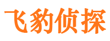 城步市侦探调查公司